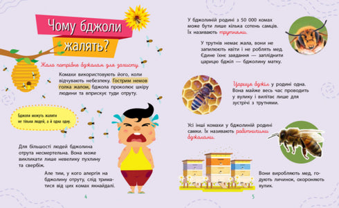 Perché sei così carino? Insetti